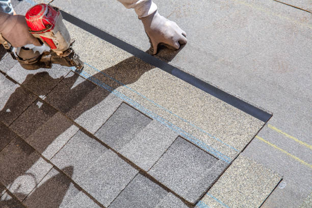 Best Roof Leak Repair  in New Athens, IL